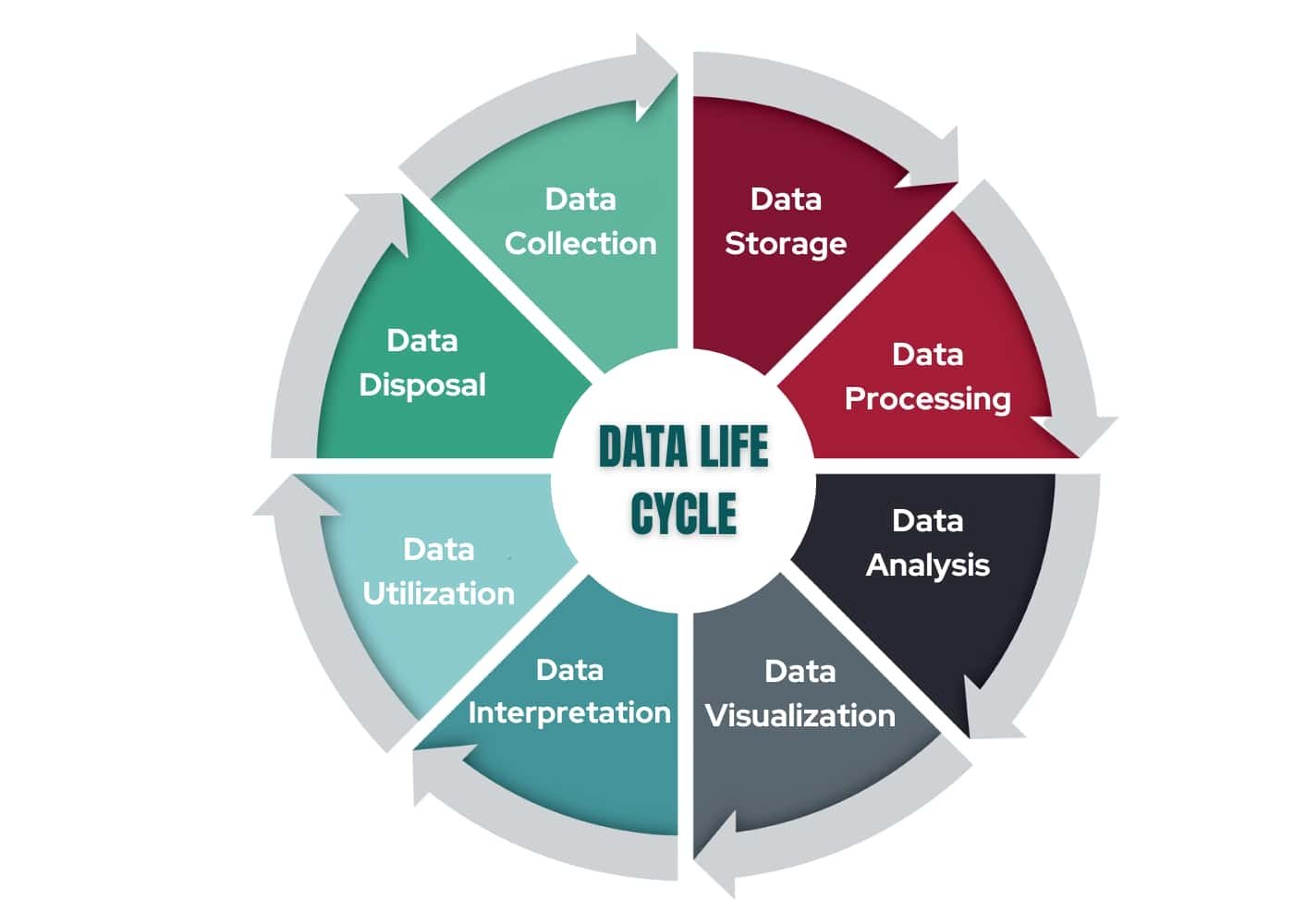 Data Life Cycle