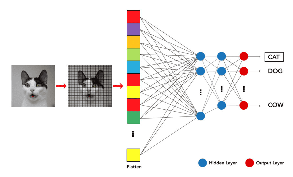 Image Recognition Using Machine Learning
