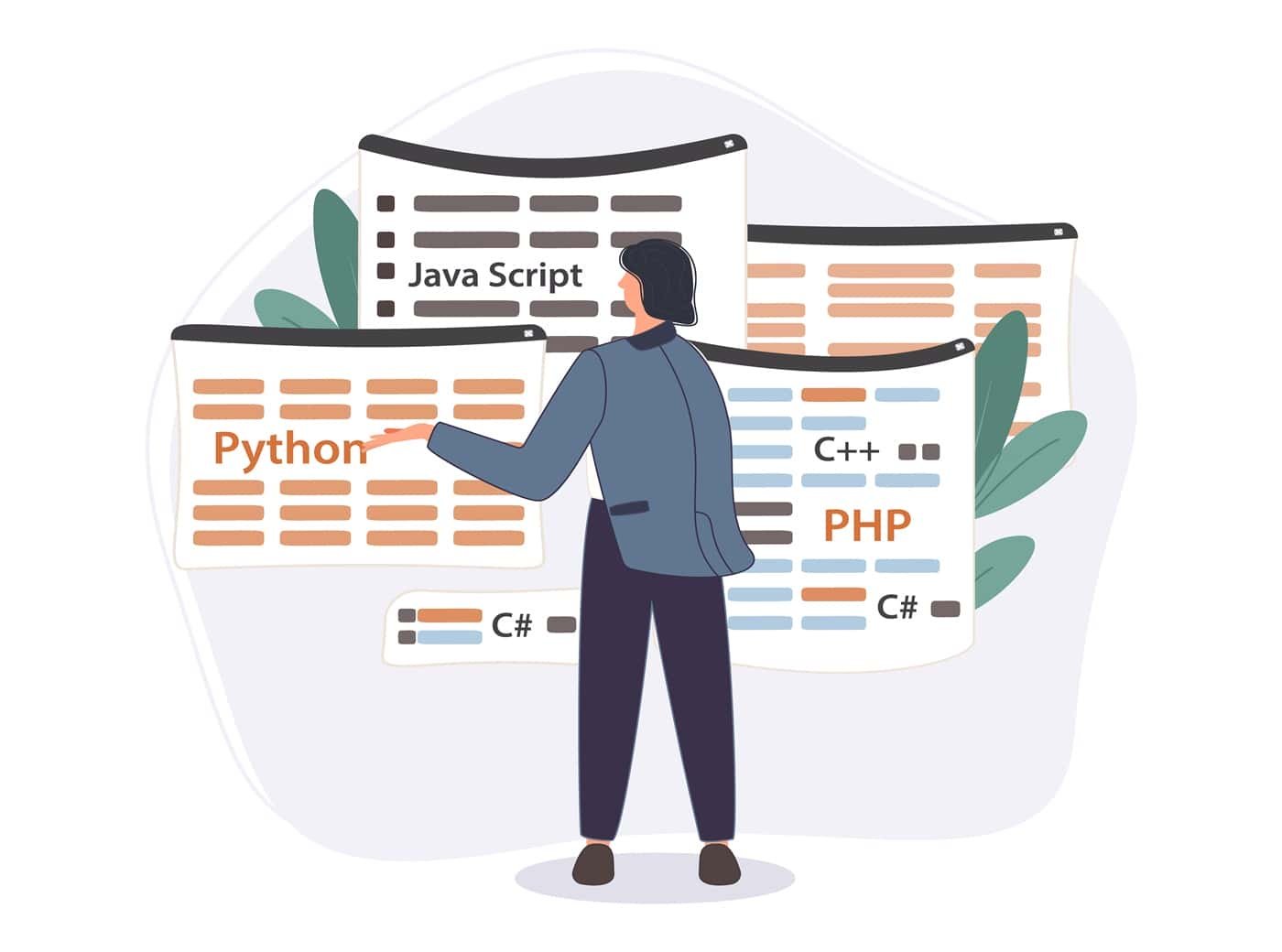 Python Developer Framework
