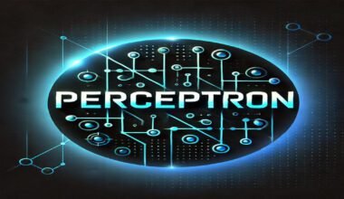 What is a Perceptron