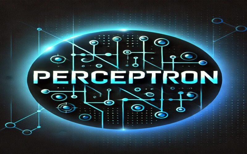 What is a Perceptron