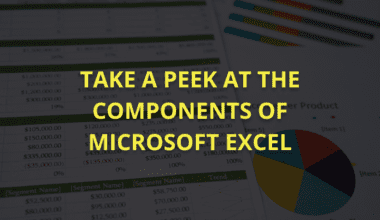 Take a Peek At the Components of Microsoft Excel