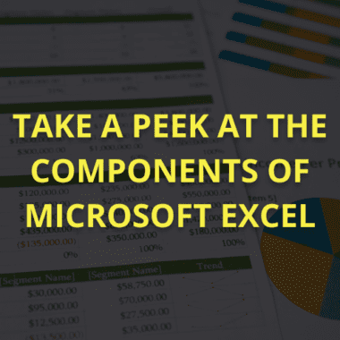 Take a Peek At the Components of Microsoft Excel