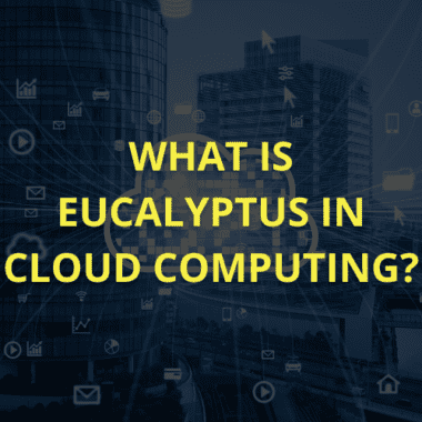 eucalyptus in cloud computing